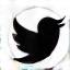Twitter icon